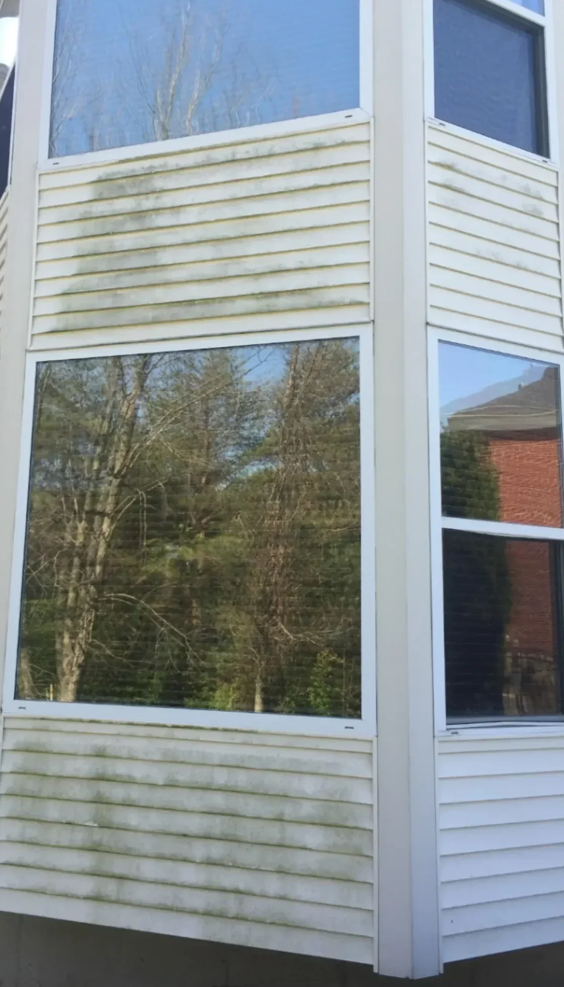 Dirty exterior surface before professional soft washing